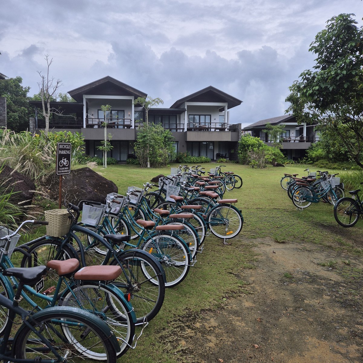 Bicycles, whenever you feel like one
